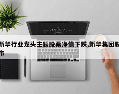 新华行业龙头主题股票净值下跌,新华集团股市
