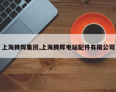 上海腾辉集团,上海腾辉电站配件有限公司