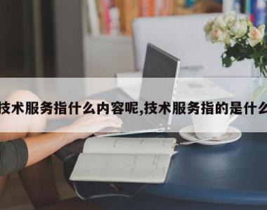 技术服务指什么内容呢,技术服务指的是什么